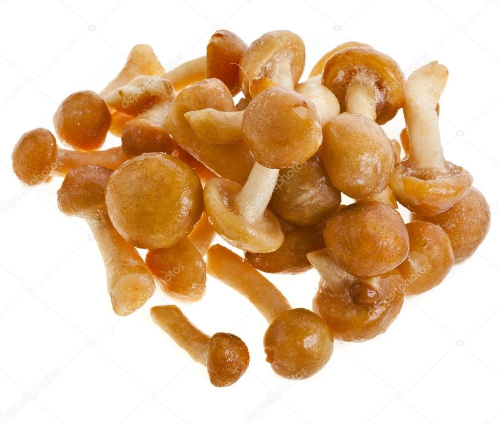 Опята с/м  (10кг)