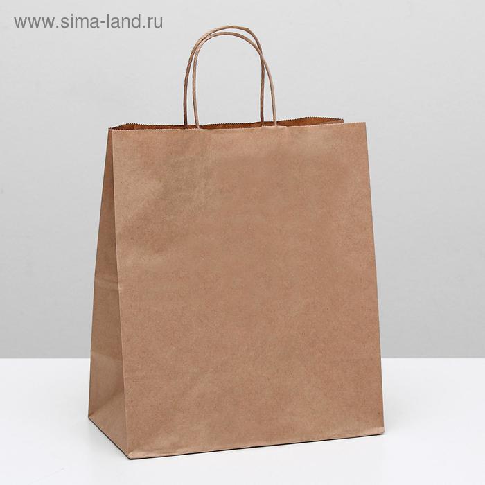 Пакет бумажный  крафт с ручкой (24х14х28см), 2492931
