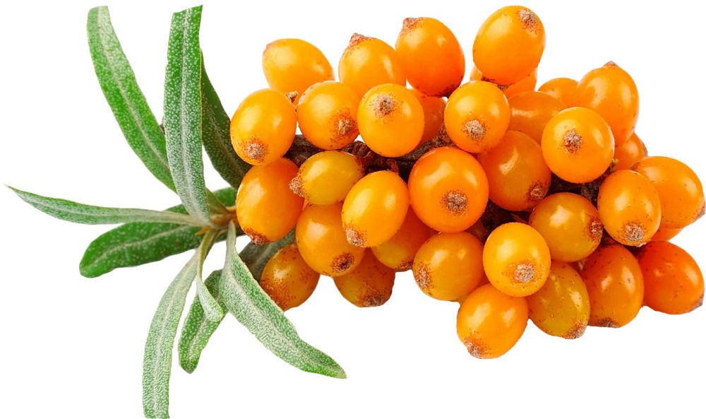 Пюре с/м Облепиха (1кг*12шт) "VALDE"