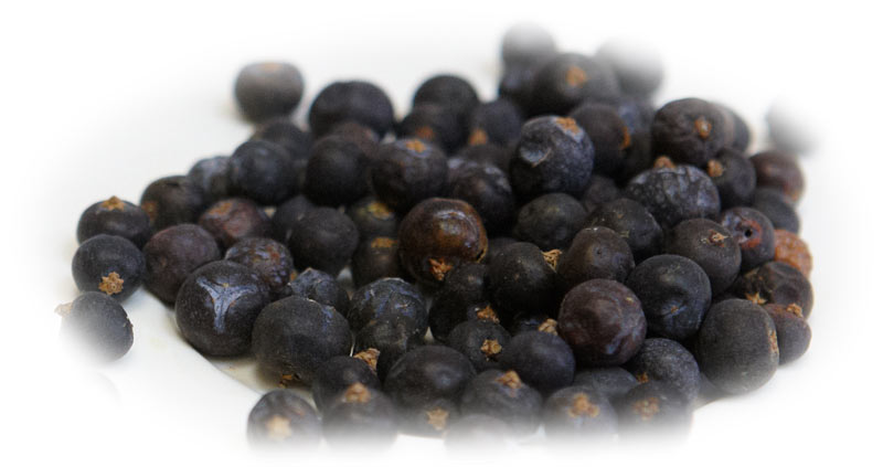 Можжевеловая ягода (125г*9шт), SpicExpert, [8301]