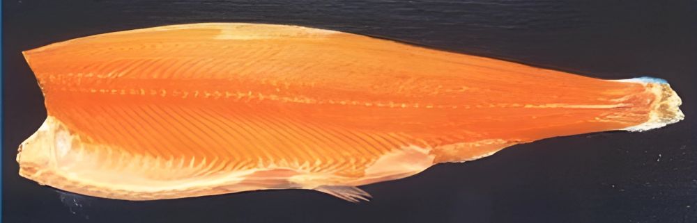 Филе Семги (лосось) на шкуре. трим "А" в/у 1,8-2,3 кг